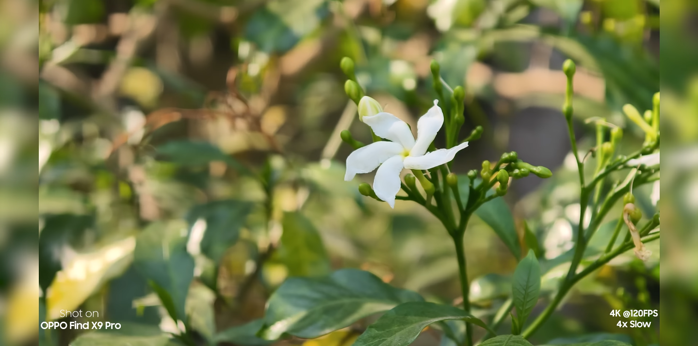 OPPO Find X9 Pro vs older China-only flagships global version advantages