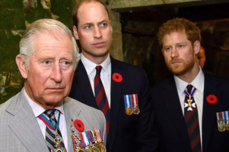 royal family rift prince harry william king charles