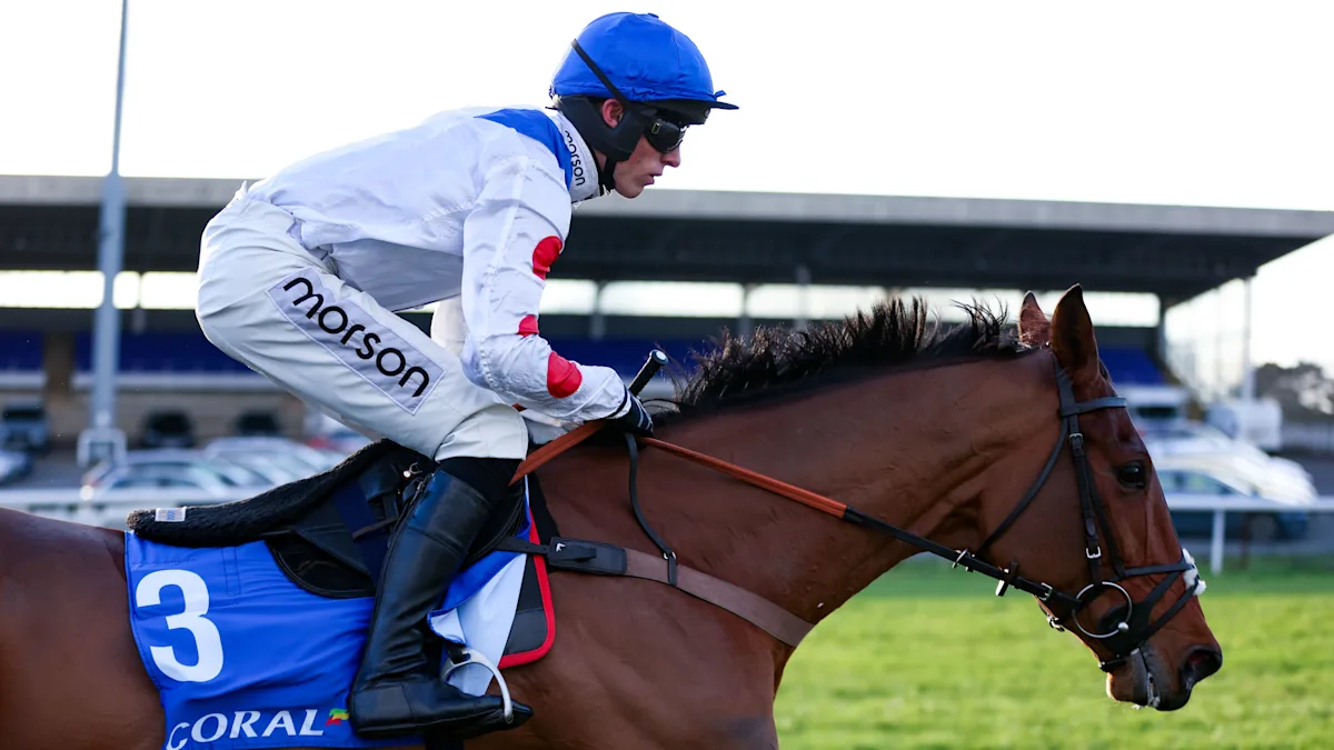 Kalif Du Berlais fatal injury at Kempton